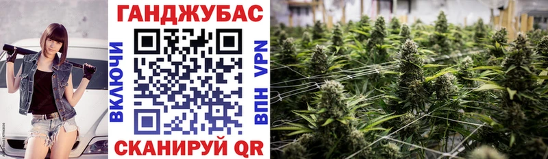 Галлюциногенные грибы Кстово