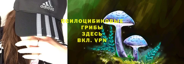 круглые Елизово