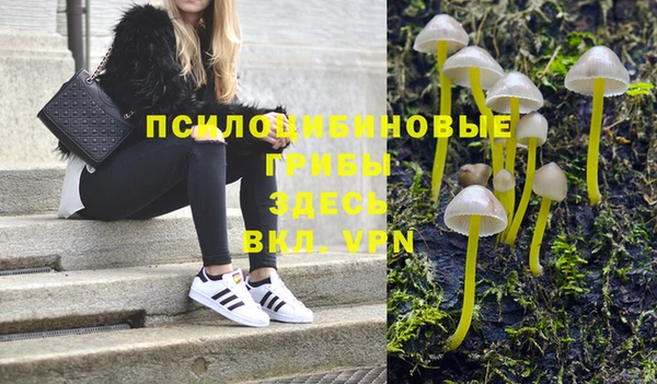 молекула духа Заводоуковск