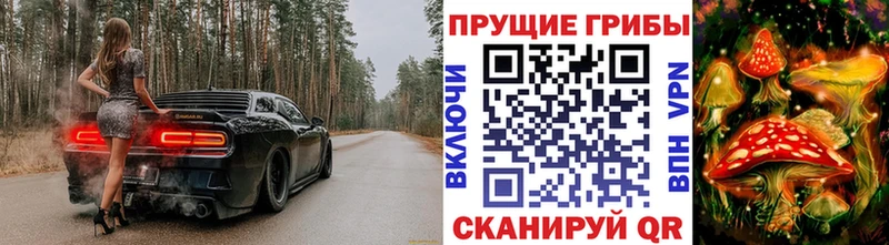 Галлюциногенные грибы мицелий Купить где Кстово